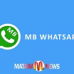 MB WhatsApp